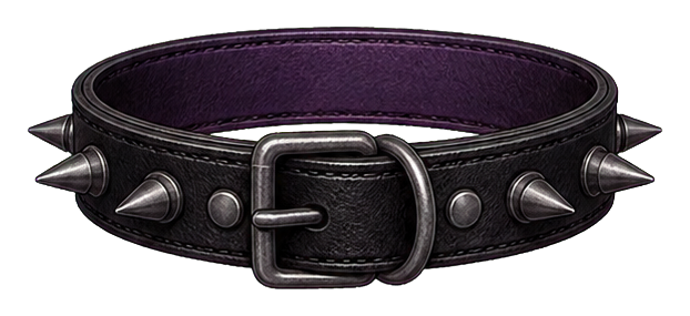 Black leather collar with metal spikes and a silver buckle