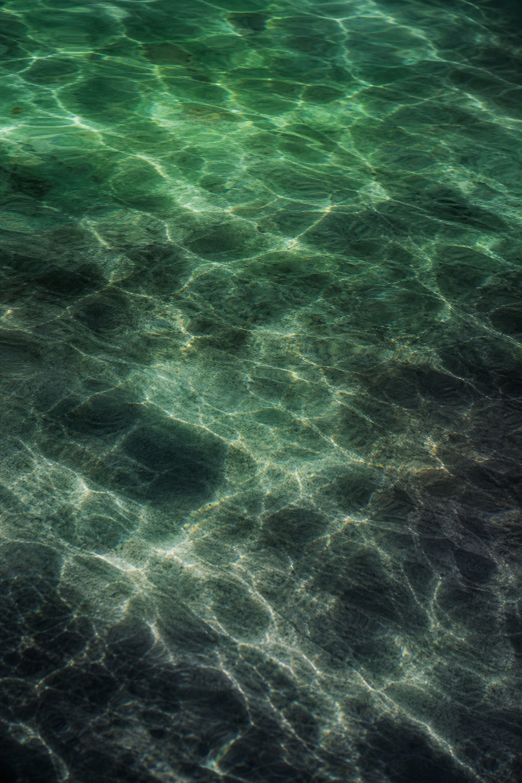 Abstract emerald green and charcoal light reflections forming a rippling caustic pattern