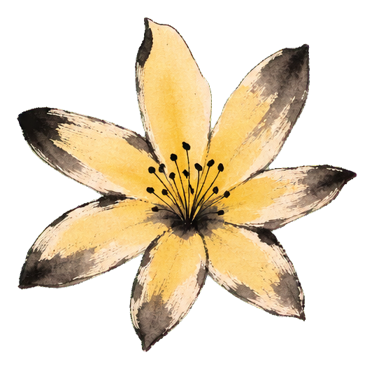 Preview for Sumi Ink Winter Jasmine Sticker