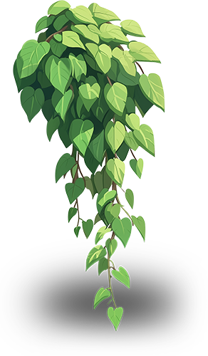 Preview for Devils-ivy-plant-illustration-flora-sticker-a26af