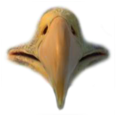 Preview for Bird-beak-closeup-mouths-sticker-c45aa