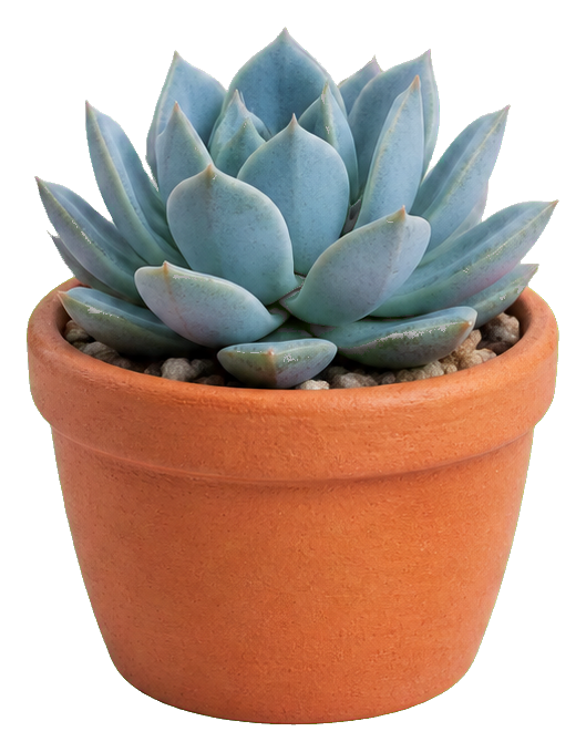 Preview for Terracotta Pot Sticker