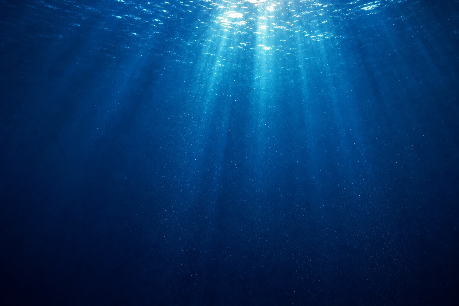Preview for Underwater Light Rays Stock Background