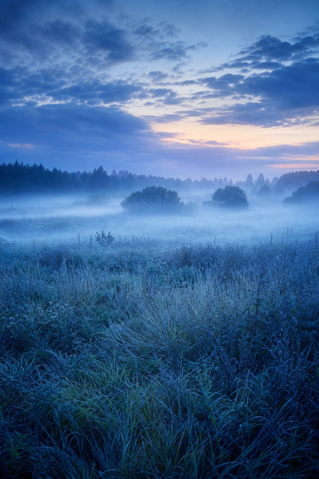 Fog drifting over a grassy meadow at sunrise under a blue dawn sky