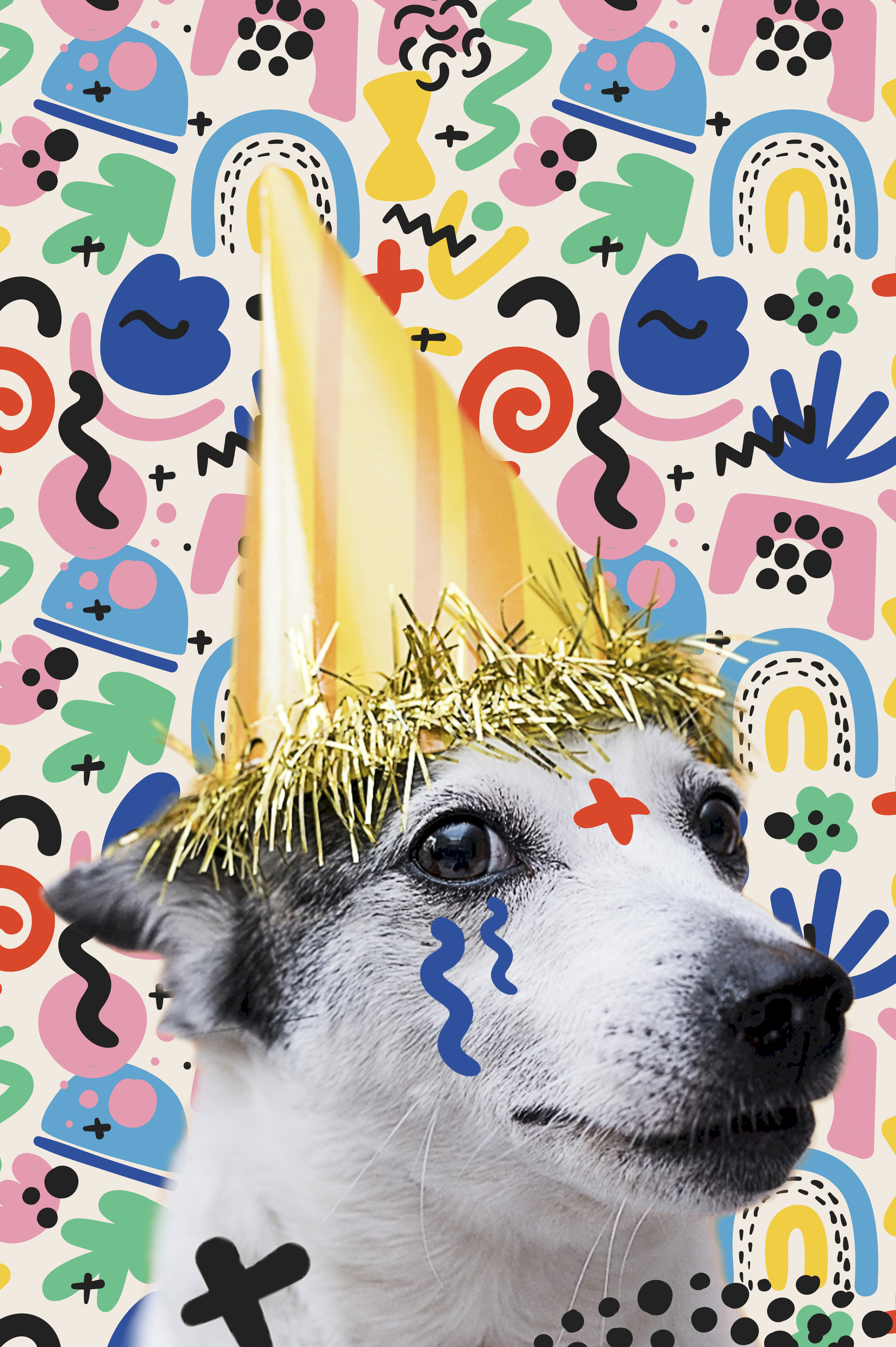 Preview for Party-dog-celebration-dog-meme-background-6664f