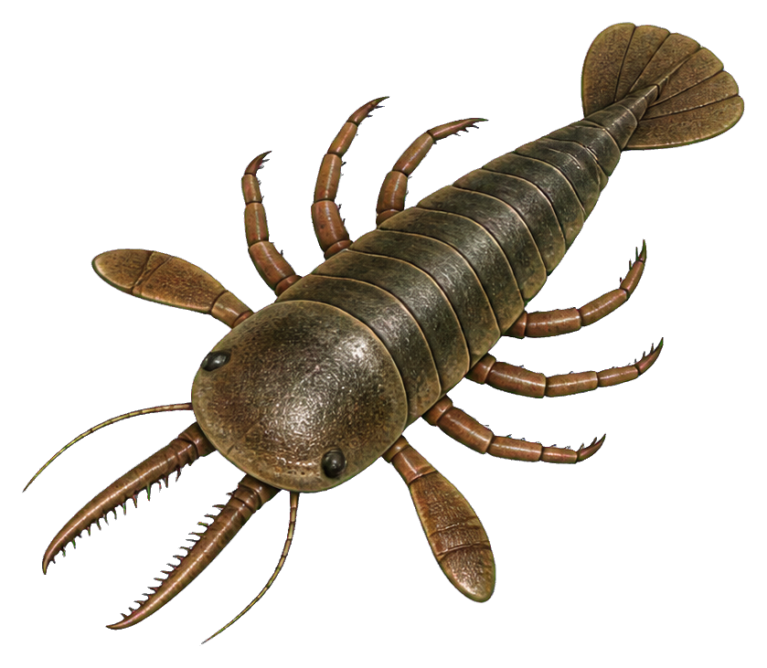 Preview for Long-clawed Pterygotus Sea Scorpion Sticker