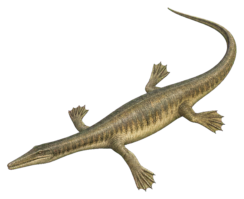 Preview for Web-foot Nothosaurus Sticker