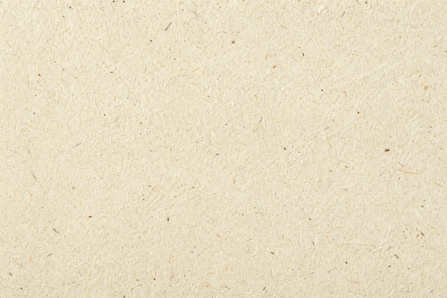 Preview for Warm Ivory Speckled Paper Texture Background