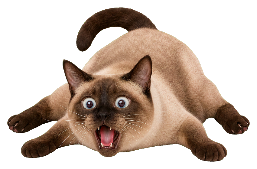 Preview for Exhausted Colorpoint Cat Meme Sticker