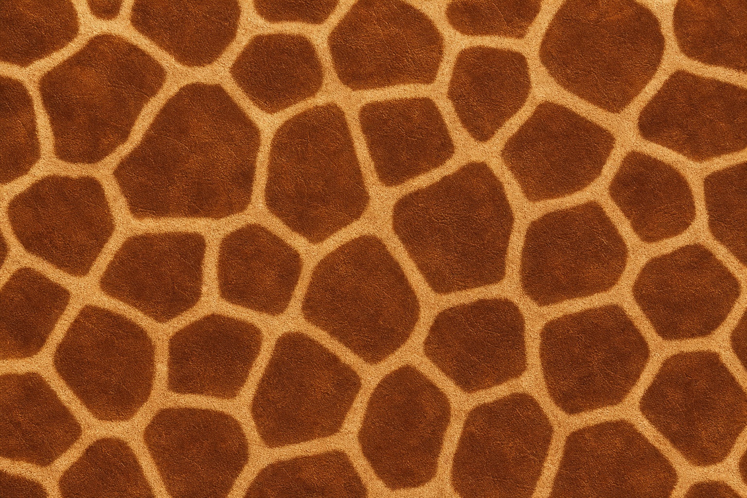 Preview for Giraffe Print Animal Background Texture