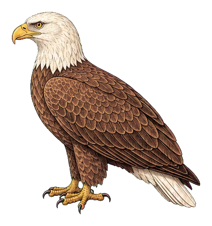 Preview for Vintage Bird Specimen Sticker