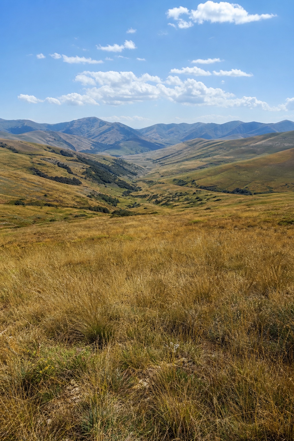 Preview for Mountain Meadow Landscape Background
