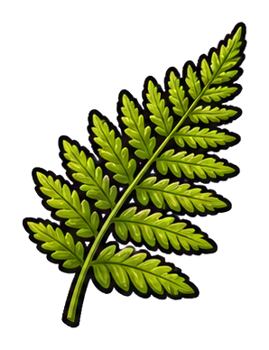 Green fern leaf with many small leaflets on a dark background