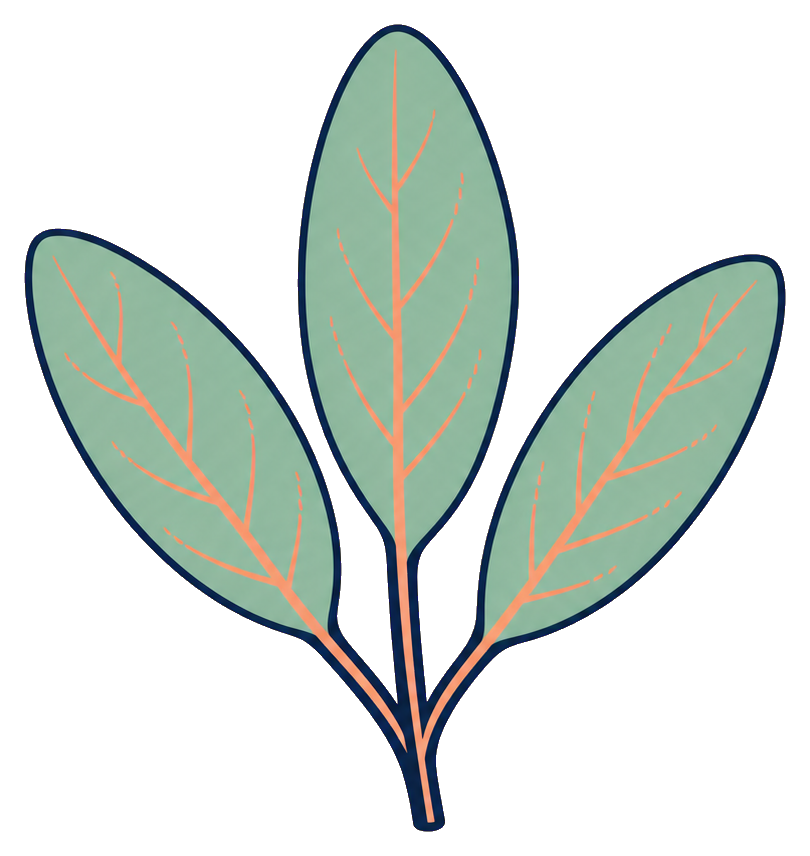 Preview for Sage Leaves Sticker
