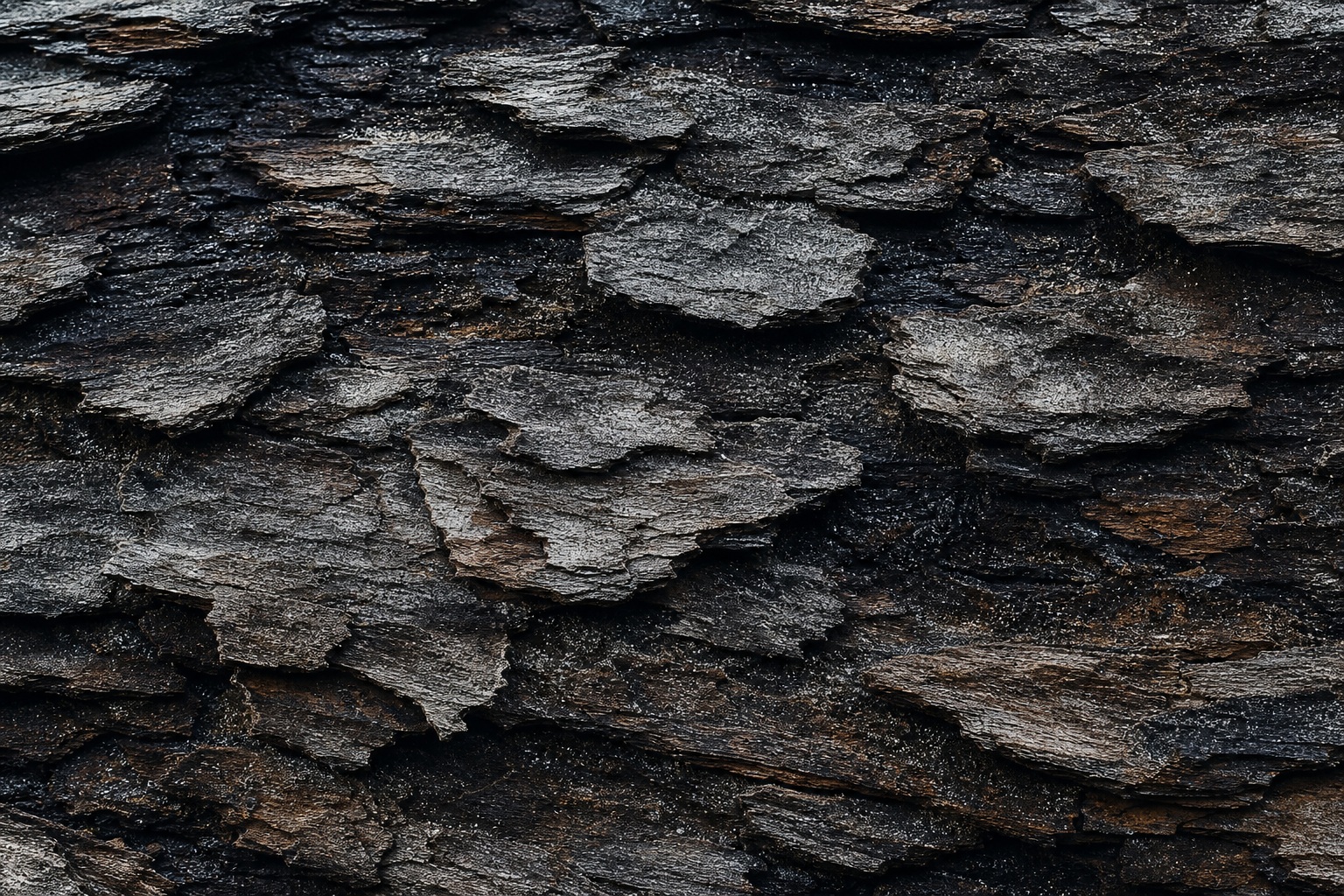 Preview for Weathered Bark Texture Background