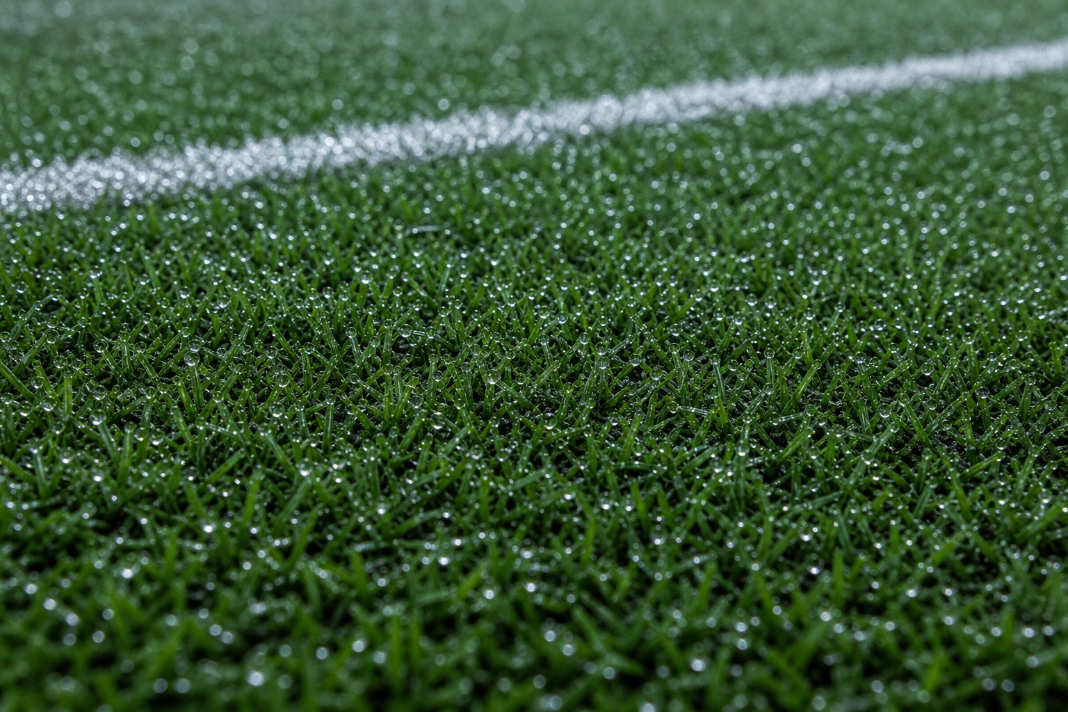 Preview for Rainy Soccer Turf Texture Background