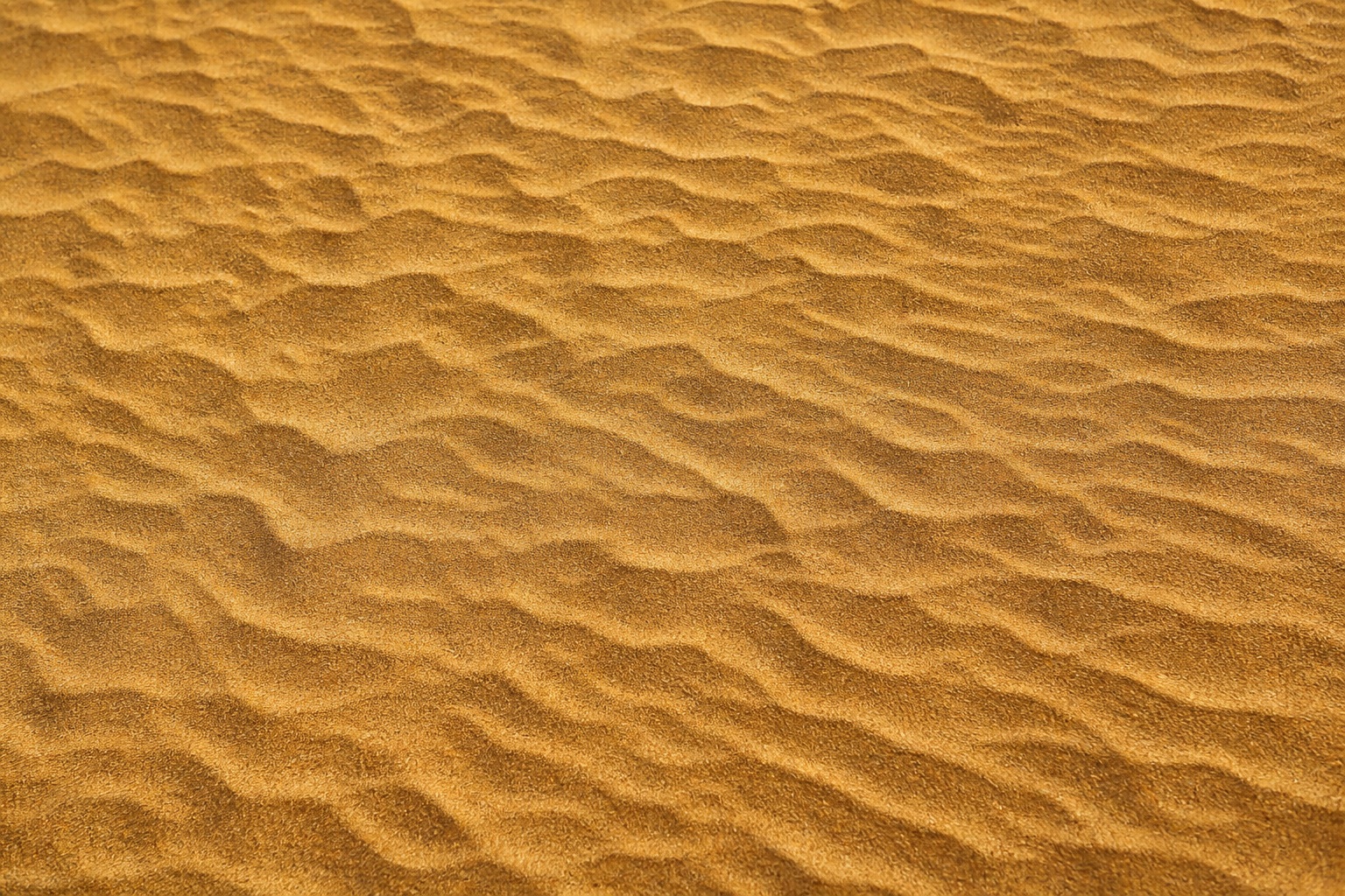 Preview for Golden Ochre Sand Ripple Background
