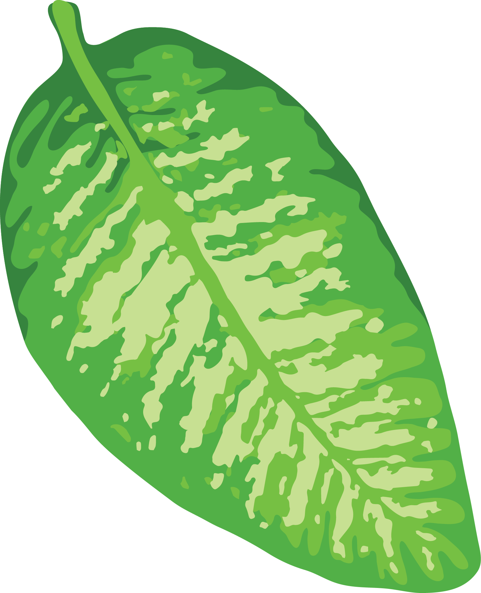 Preview for Green-variegated-leaf-illustration-summer-sticker-33545