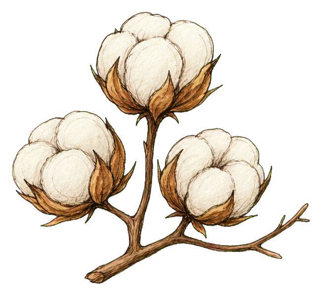 Preview for Cotton Boll Branch Sticker