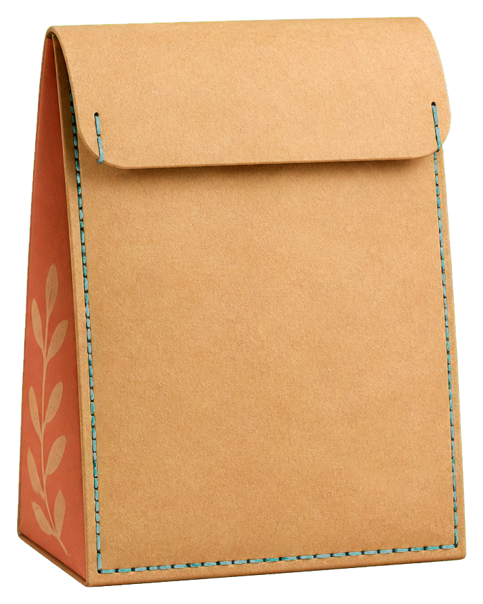 Blank brown paper seed packet with a folded top and stitched edges.