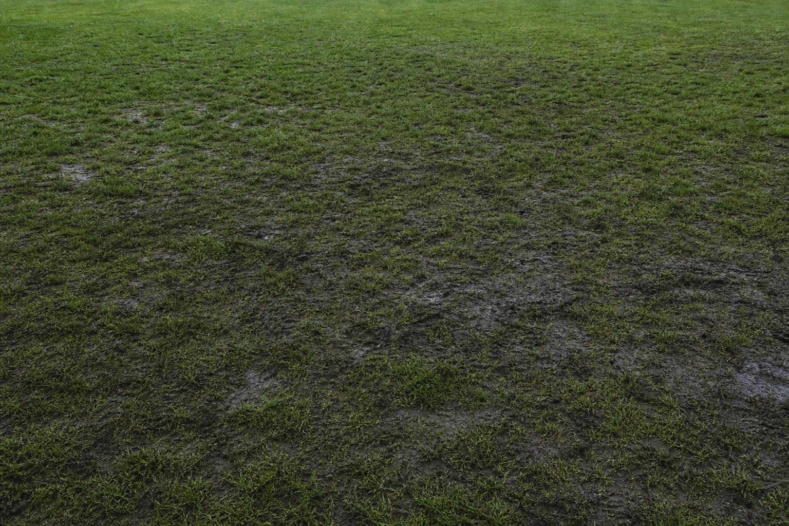 Preview for Muddy Soccer Field Background