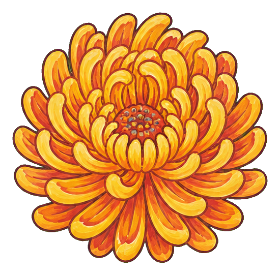 Preview for Orange Chrysanthemum Sticker Graphic