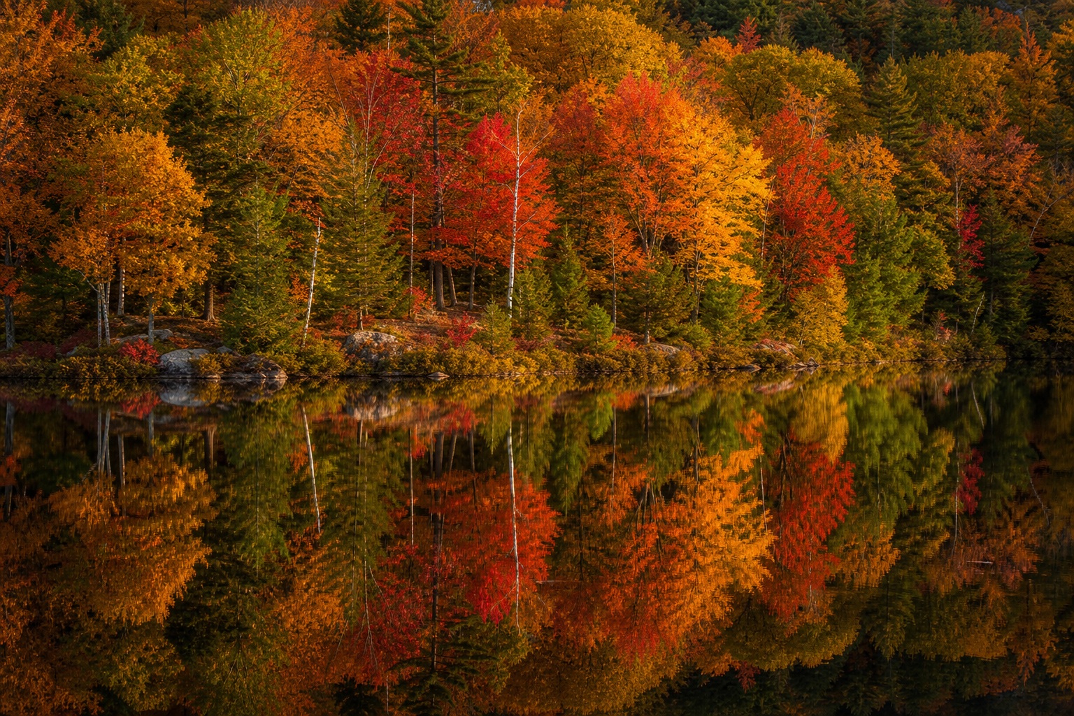 Preview for Golden Autumn Lakeside Background
