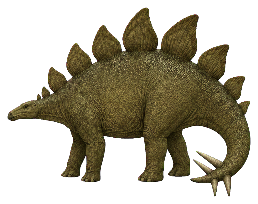 Preview for Plate-back Stegosaurus Sticker