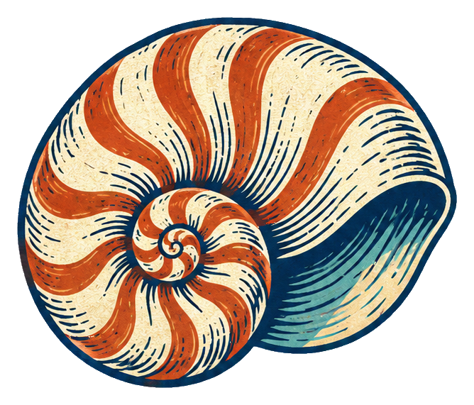Preview for Linocut Seashells Nautilus Shell