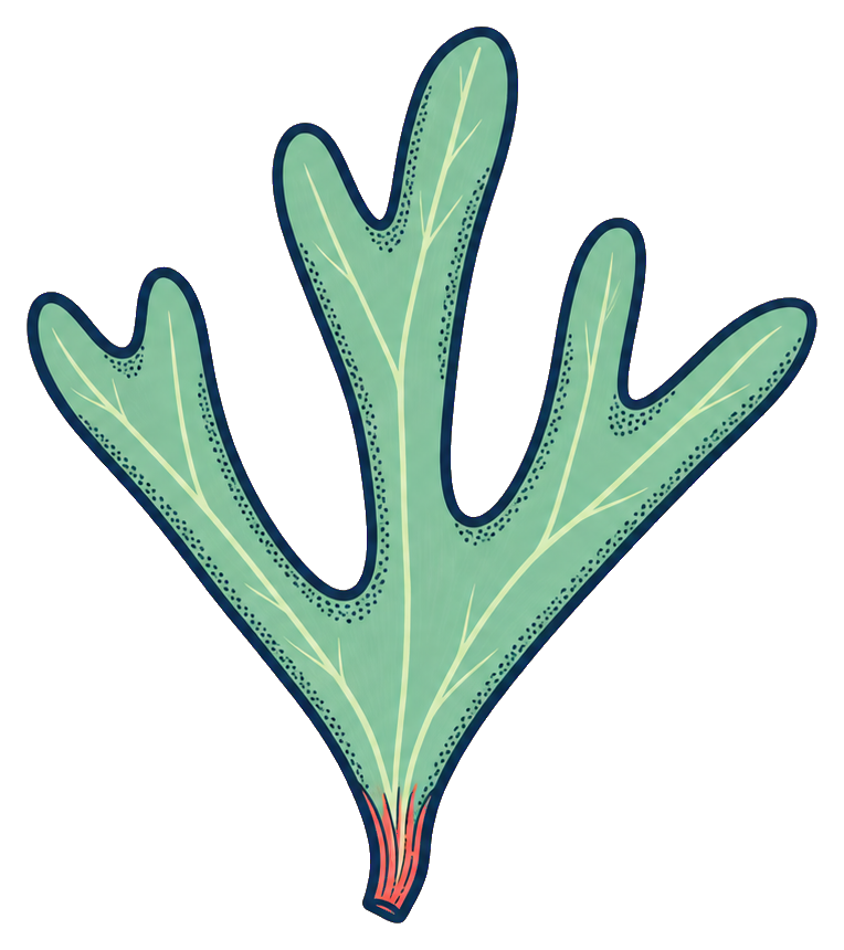 Preview for Staghorn Fern Sticker