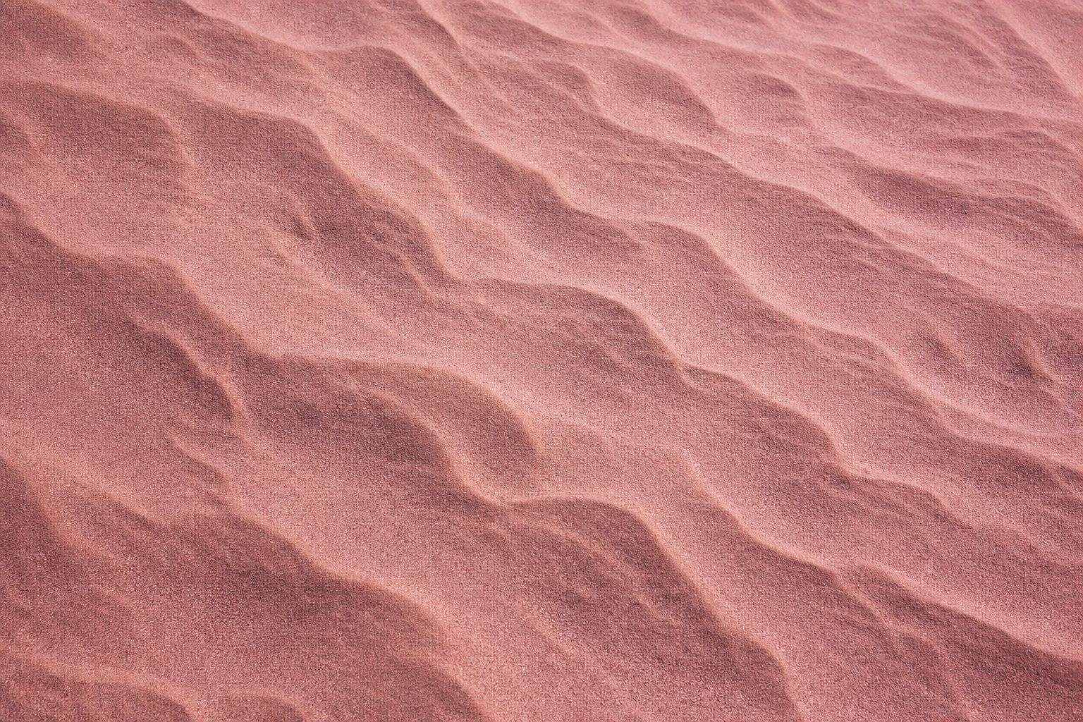 Preview for Rose Desert Sand Texture Background