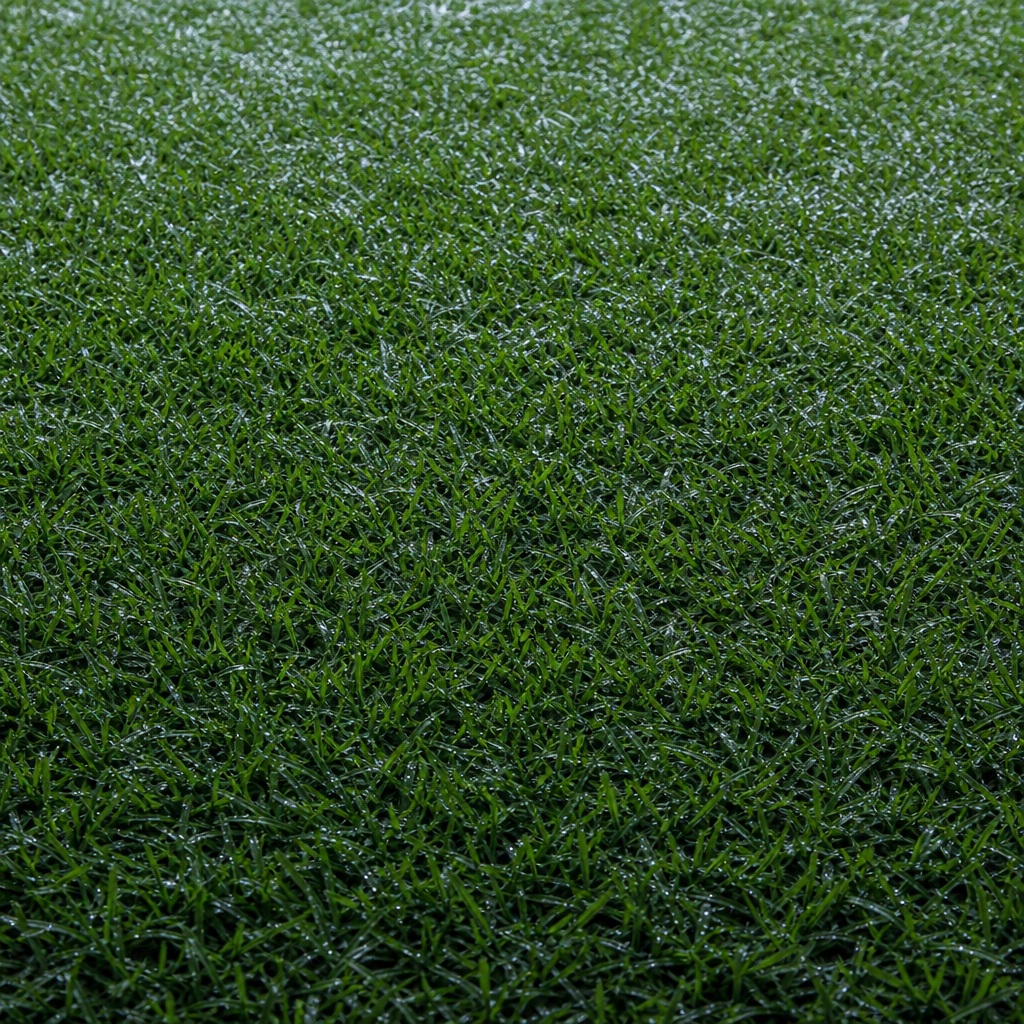 Close-up square view of wet green grass turf texture