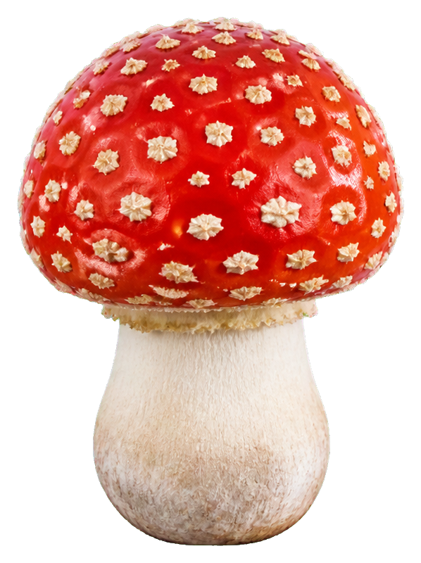 Preview for Mushroom Sticker Graphic