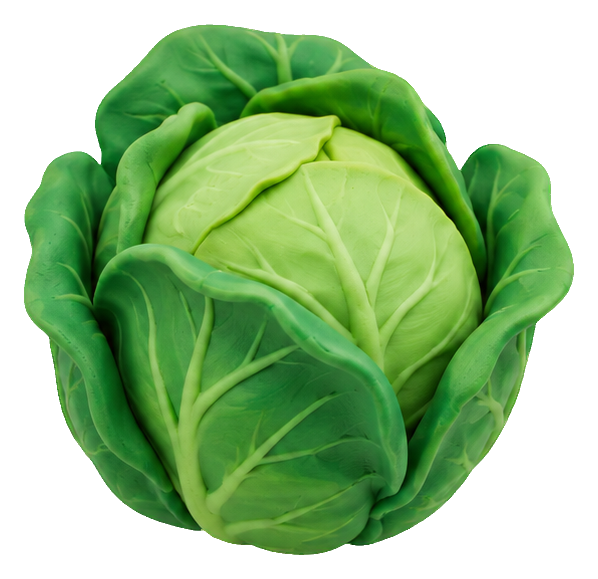 Preview for Clay Garden Vegetables Cabbage