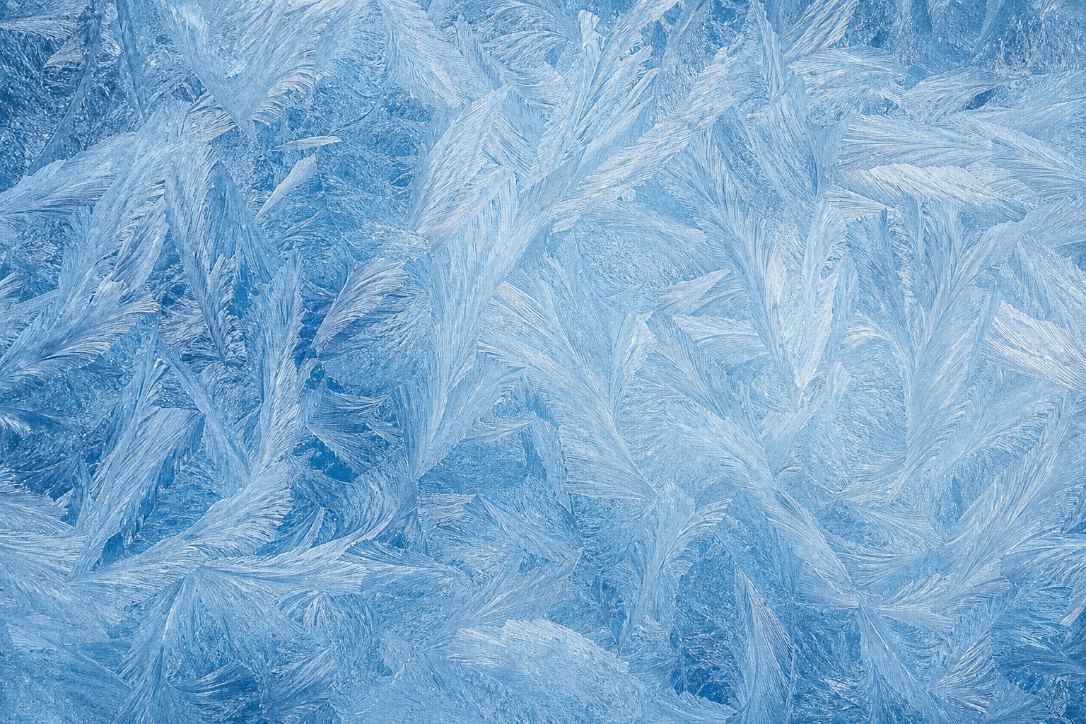 Blue feather-like frost pattern covering a frozen ice surface.