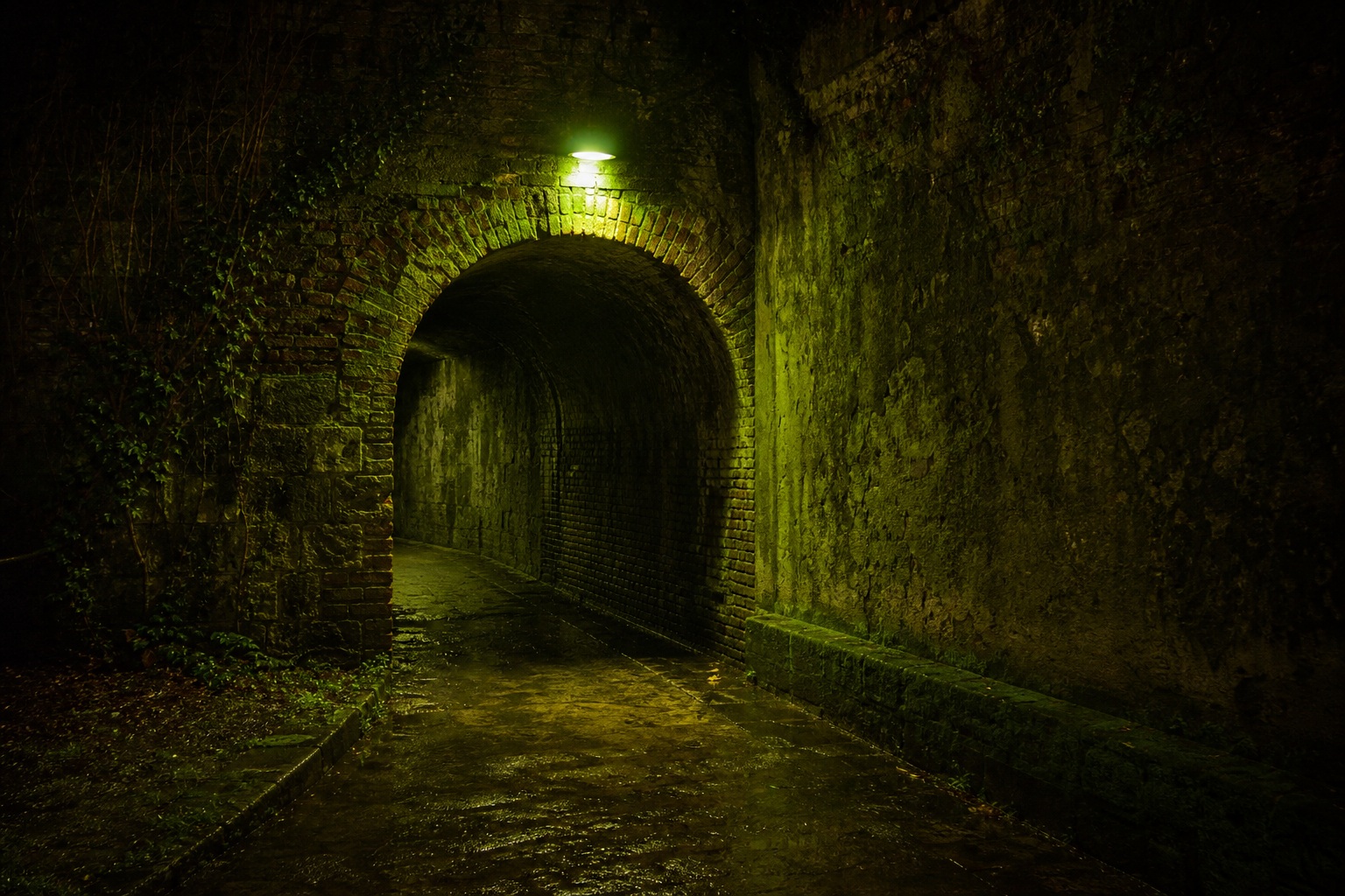 Preview for Mossy Brick Tunnel Night Background