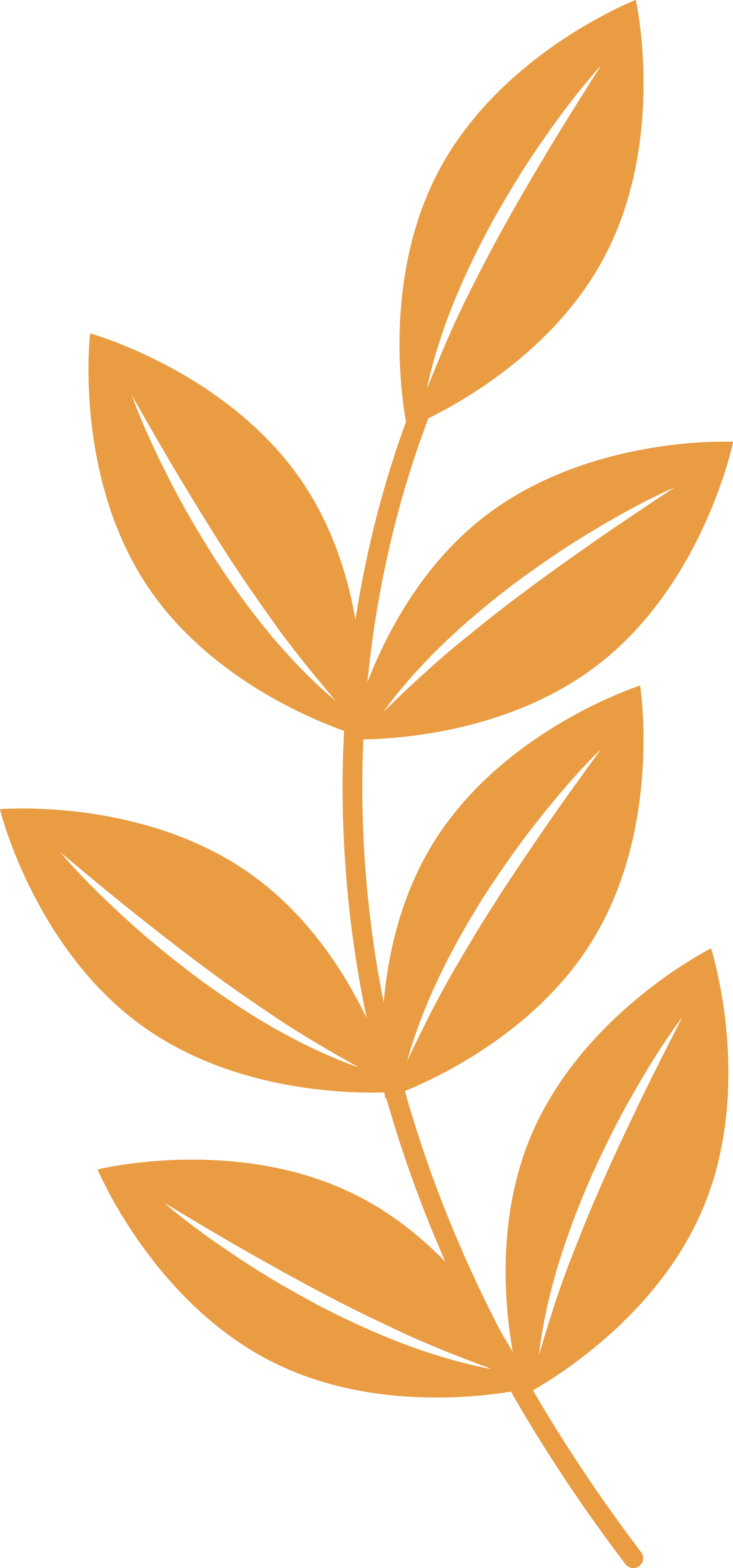 Preview for Simple-leaf-illustration-hanukkah-sticker-1f772