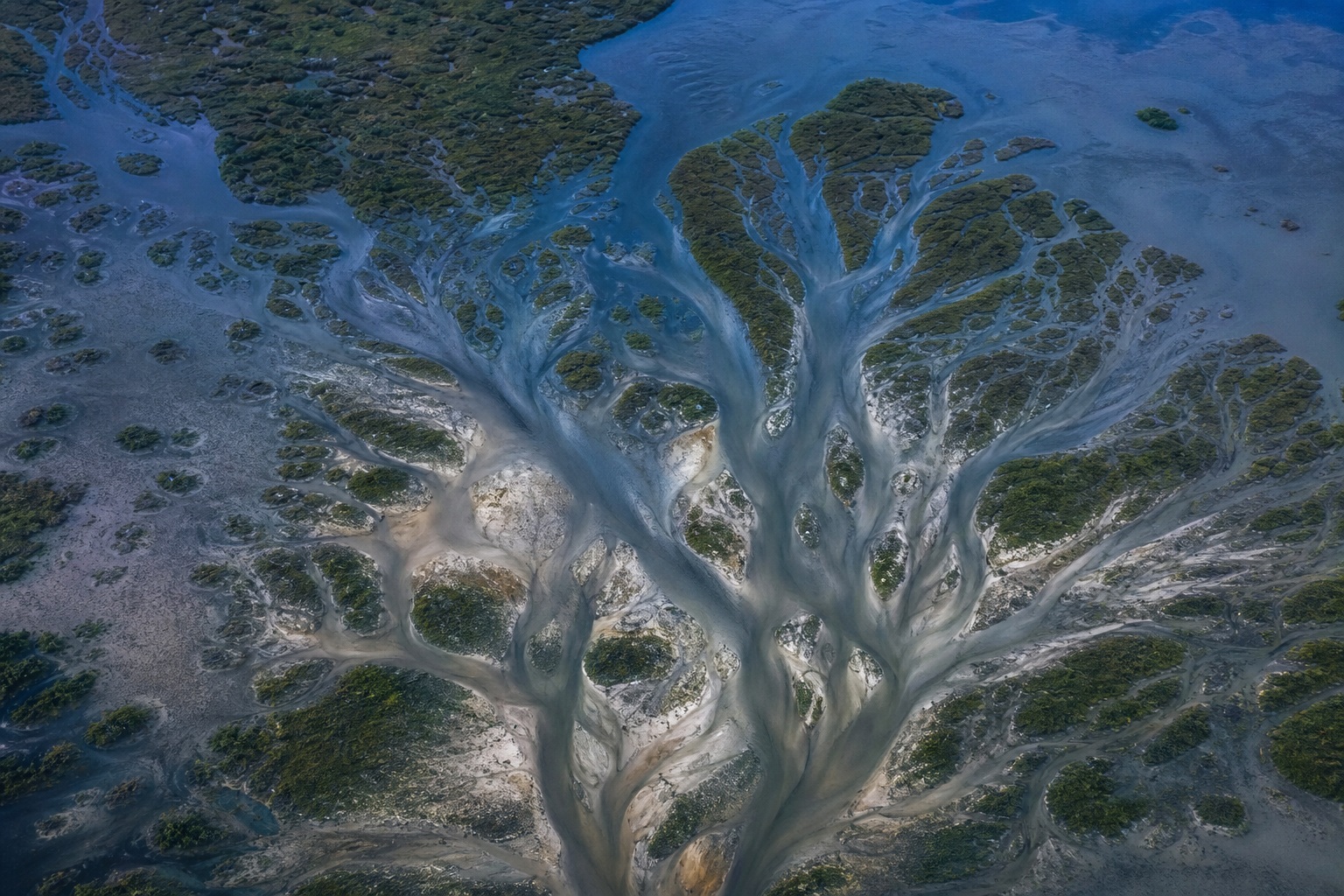 Aerial view of a river delta with branching water channels and wetland landforms