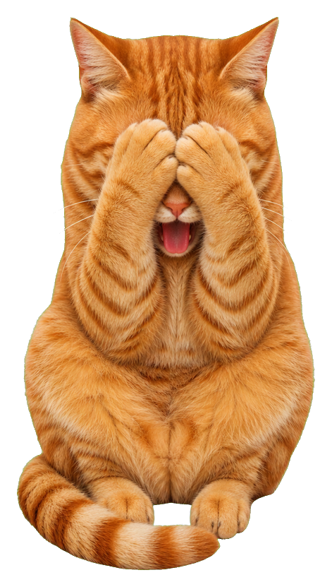 Preview for Embarrassed Orange Cat Sticker
