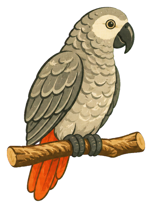 Preview for African Grey Parrot