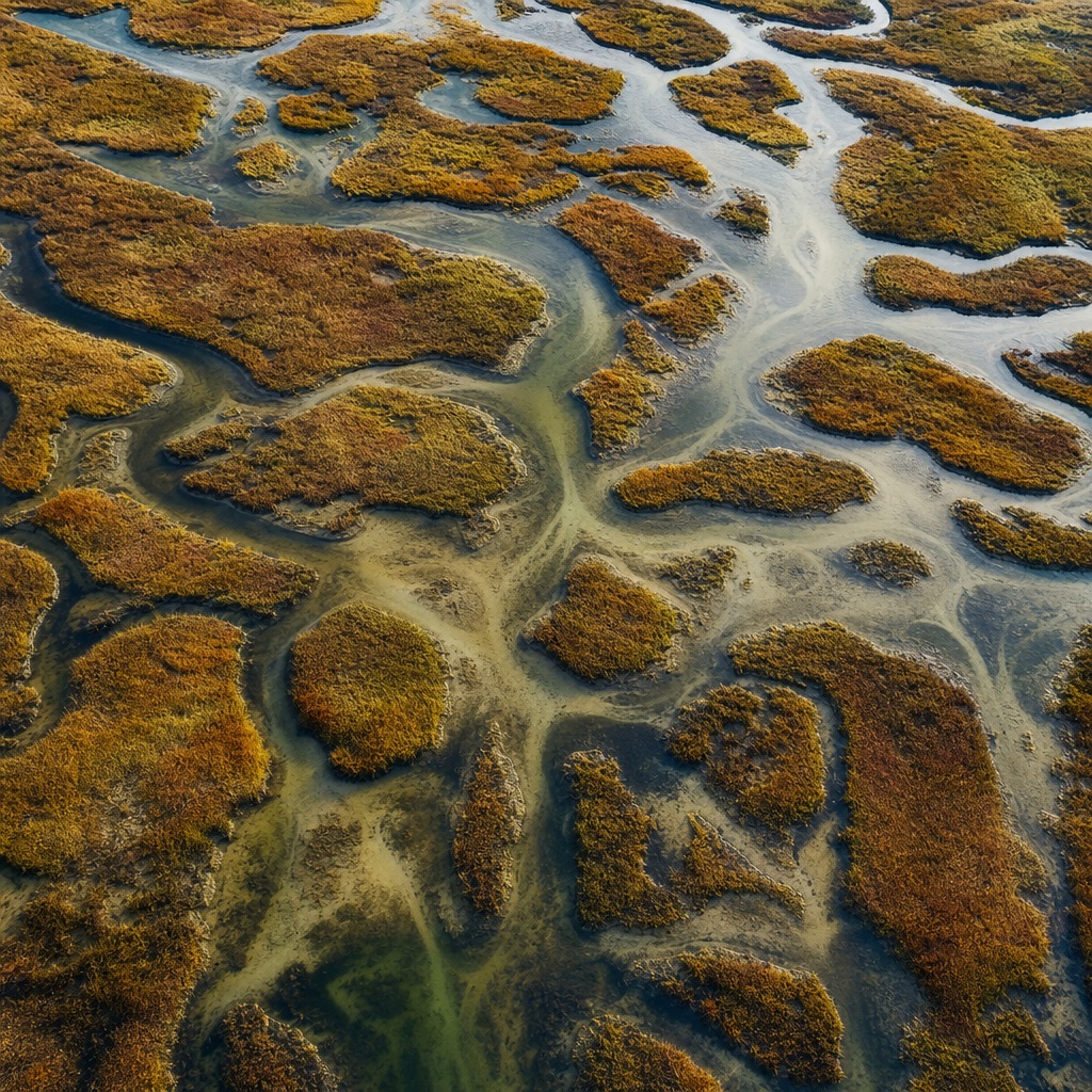 Aerial view of a river delta with tidal grass islands and winding water channels