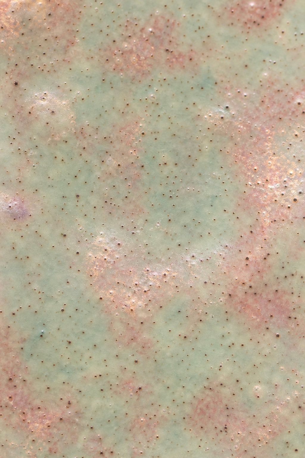 Preview for Rose Pearl Speckled Celadon Background