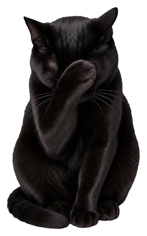 Preview for Black Cat Facepalm Sticker