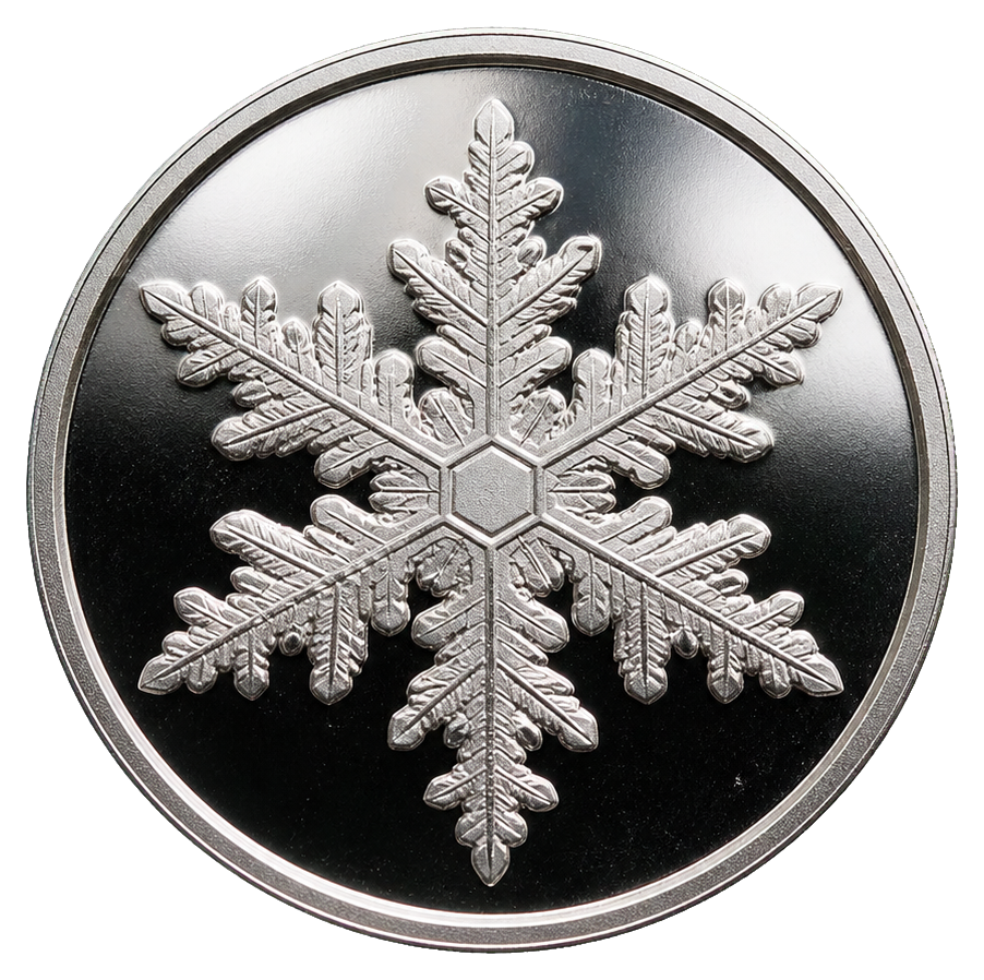 Silver coin sticker with a raised snowflake design on a dark background