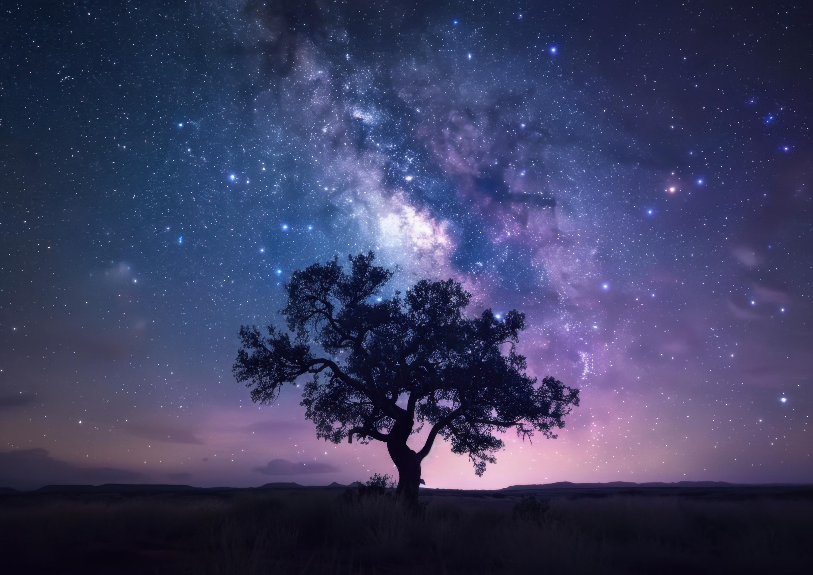 Preview for Starry-night-tree-silhouette-astrophotography-photo-background-9b74a