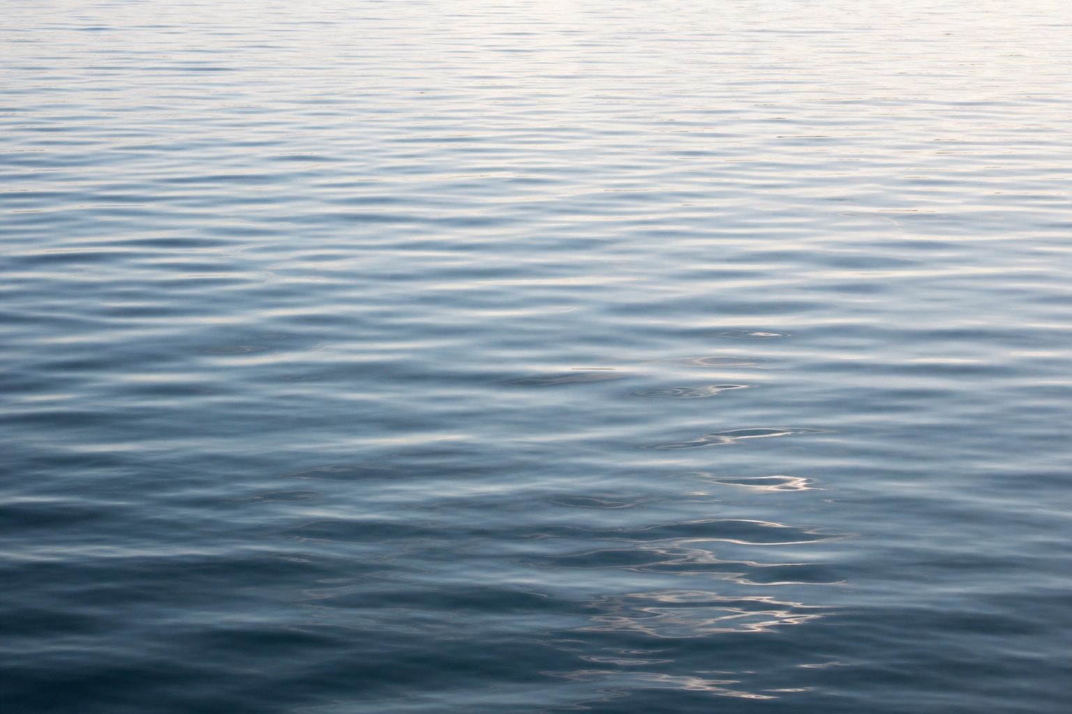 Preview for Calm Lake Ripples Water Background