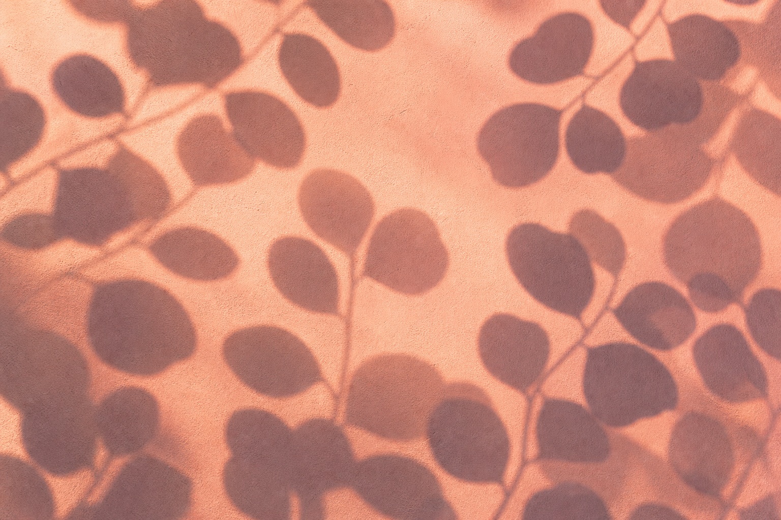 Preview for Peach Coral Leaf Shadow Background