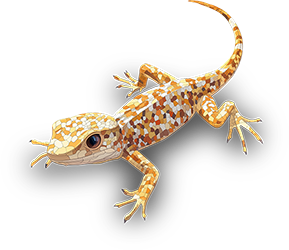 Preview for Leopard-gecko-image-animal-sticker-fa725