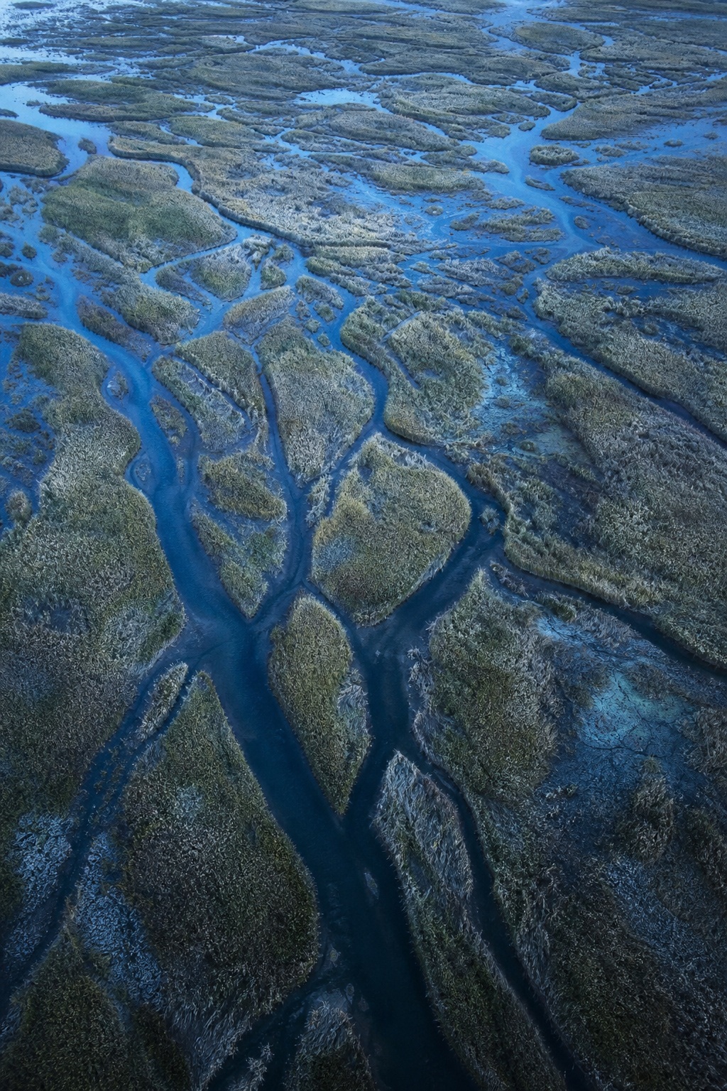 Aerial view of braided blue wetland channels forming a river delta at blue hour.