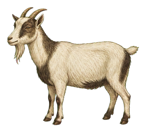 Preview for Vintage Domestic Goat Sticker
